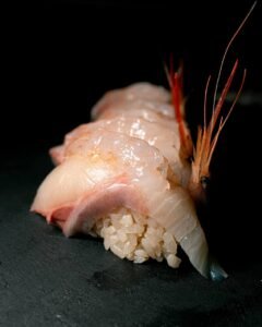 photo_5825765109010205684_y