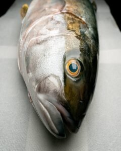 photo_5825765109010205687_y