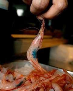 photo_5825765109010205688_y